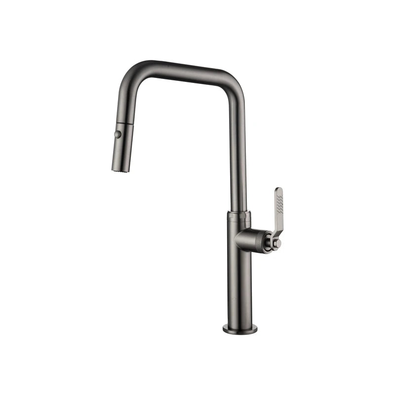 Mitigeur de Cuisine - Niza Black Gun Metal