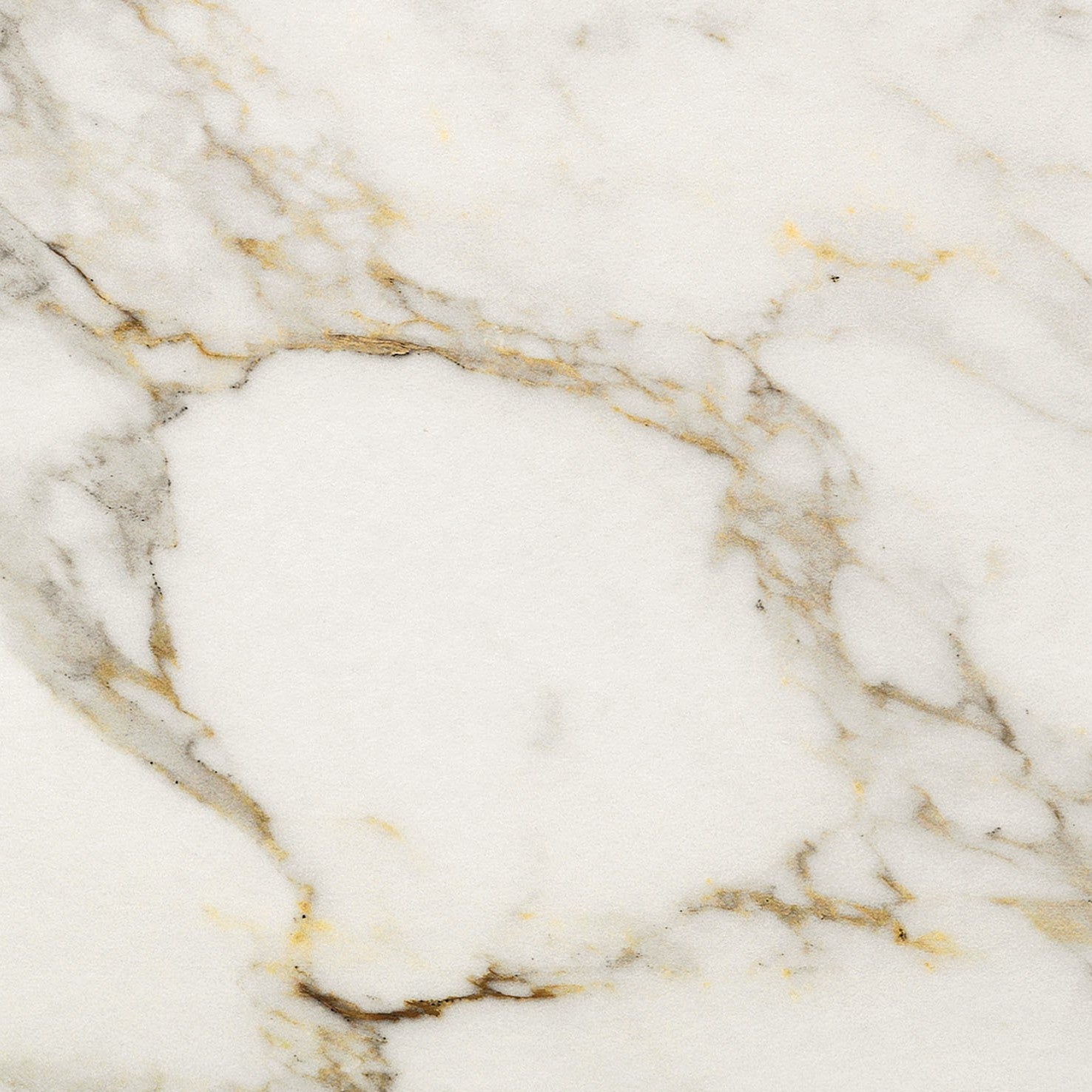 MARBLE EXPERIENCE - Calacatta Gold
