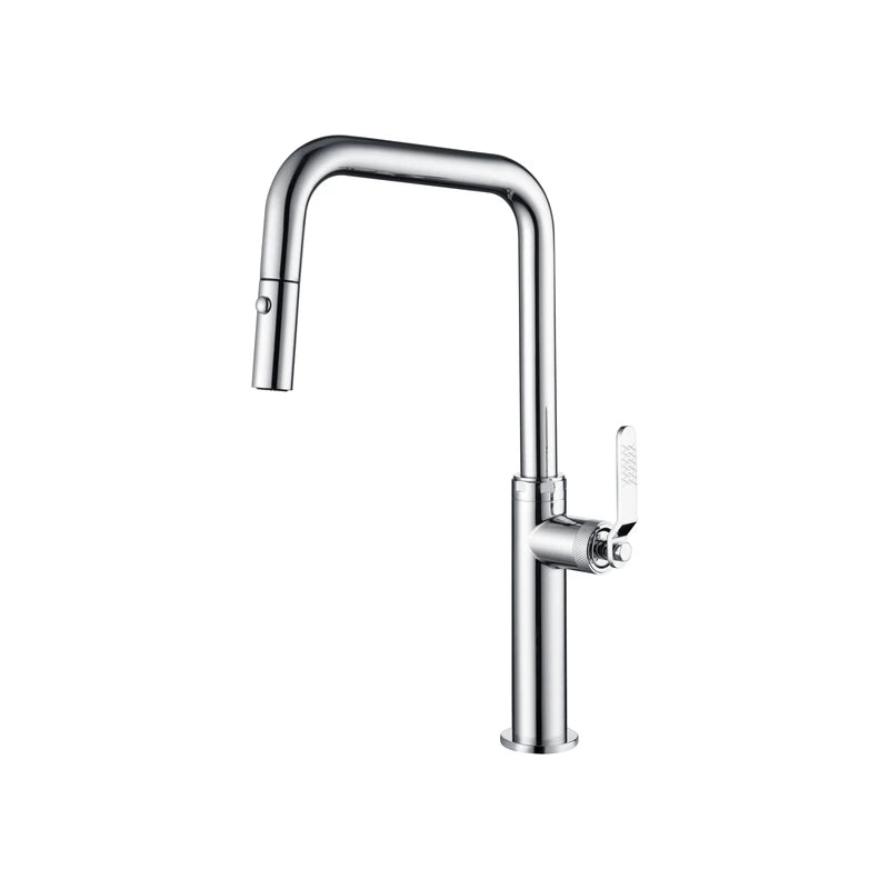 Mitigeur de Cuisine - Niza Chrome